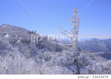 古木 雪花 徳裕山 33810079