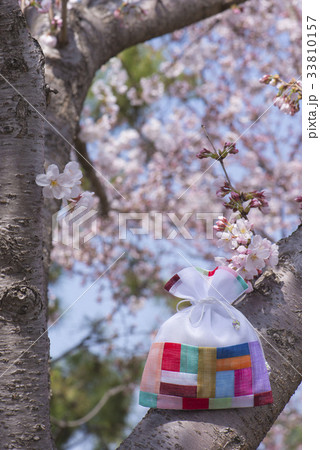 工芸品 桜 福袋 33810157