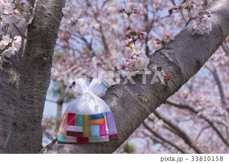 工芸品 桜 福袋 33810158