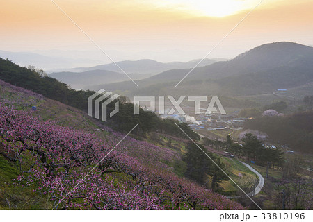 慶北 慶山市 図画 33810196