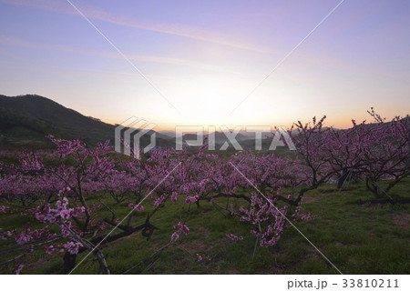 夕焼け 図画 順天市 33810211