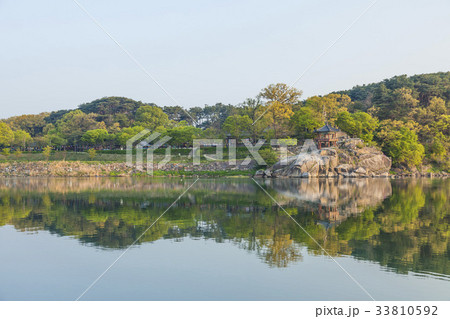 ガンウォルホン 京畿道 キョンギド 33810592
