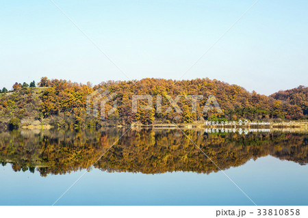 秋 木 南漢江 33810858