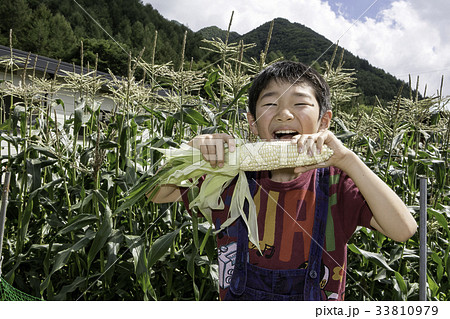 白いとうもろこしを食べる男の子 白いとうもろこしを食べる男の子 33810979