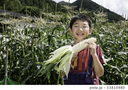 白いとうもろこしを食べる男の子 白いとうもろこしを食べる男の子 33810980