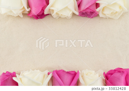 Pink and white roses on white muslin fabric Pink and white roses on white muslin fabric 33812428