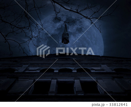 Bat hang on dead tree over old grunge castle 33812641