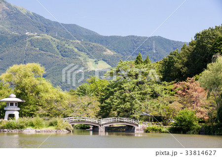 伊吹山&三島池18 伊吹山&三島池18 33814627