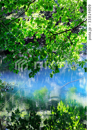 丸池 丸池 33814909