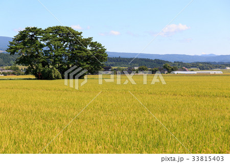 田園風景 33815403