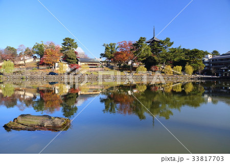 奈良　秋の猿沢池 33817703