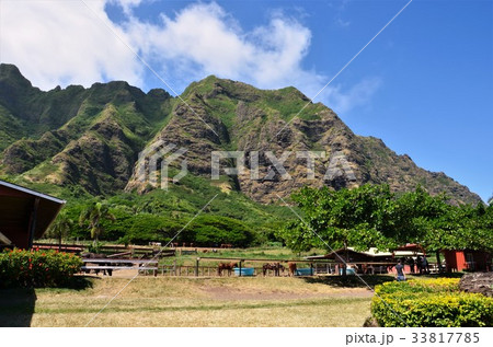 クアロアランチ 33817785