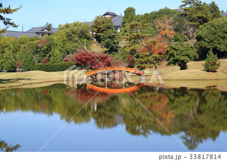 奈良 旧大乗院庭園 奈良 旧大乗院庭園 33817814