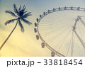 Ferris wheel in sunset time with coconut tree 33818454