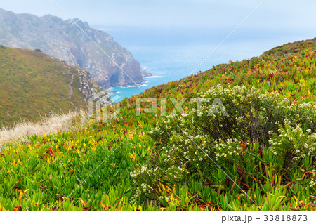 Coastal landscape of Cabo da Roca 33818873