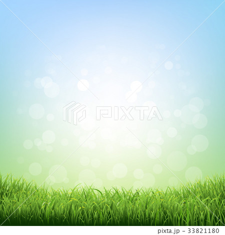 Spring Grass 33821180