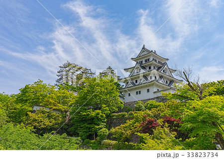 郡上八幡城(5月　郡上市　城) 33823734