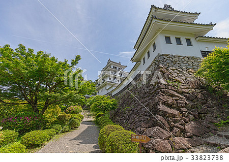 郡上八幡城(5月　郡上市　城) 33823738