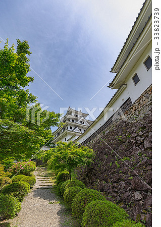 郡上八幡城(5月　郡上市　城) 33823739