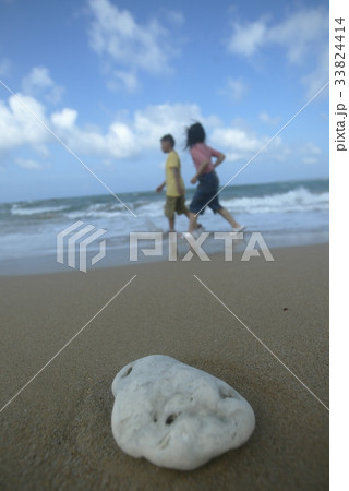 砂浜 ビーチ 墾丁 33824414