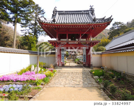 第四番大日寺山門 第四番大日寺山門 33824997