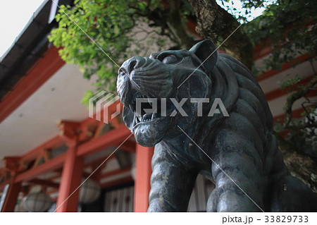 鞍馬寺 阿吽の虎 鞍馬寺 阿吽の虎 33829733
