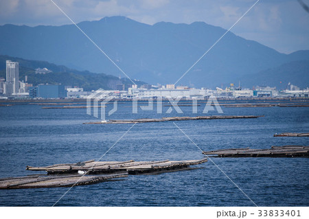 牡蠣の養殖筏 33833401