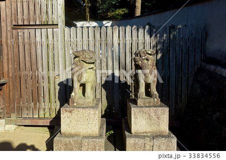 須波麻神社 須波麻神社 33834556