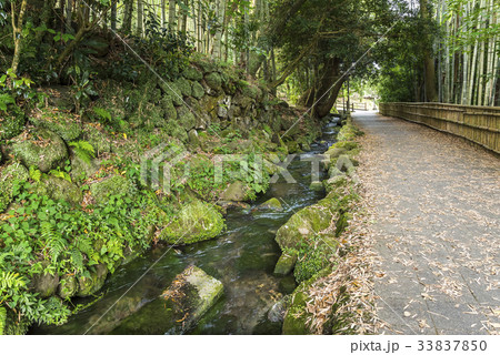 小川が流れる散策路 33837850