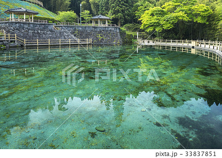 霧島山麓丸池湧水の丸池公園 33837851