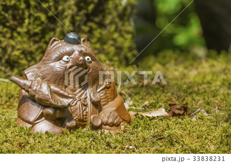 たぬき たぬき 33838231