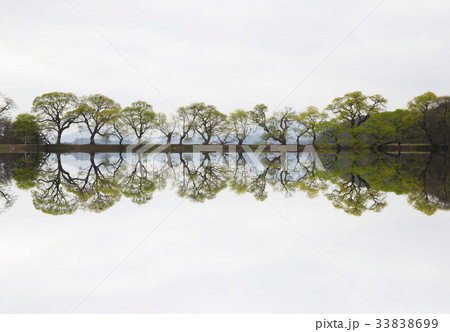 慶北 慶山市 変曲か 33838699