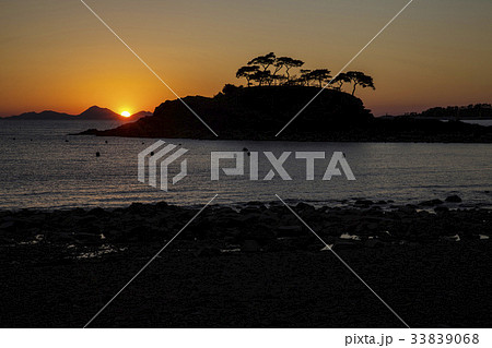 辺山半島 松 全北 33839068