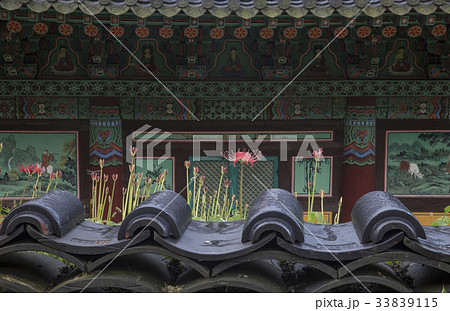 コトムルト ブルガプサ 全羅南道 33839115