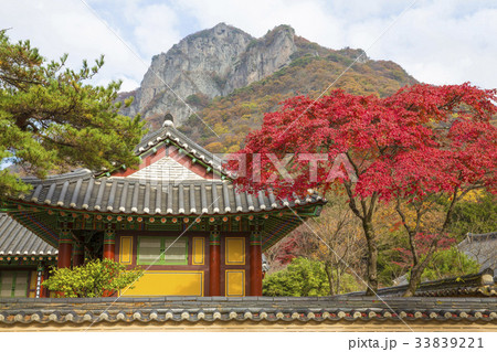 秋 白羊寺 全羅南道 33839221