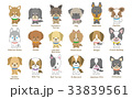 犬のセット 33839561