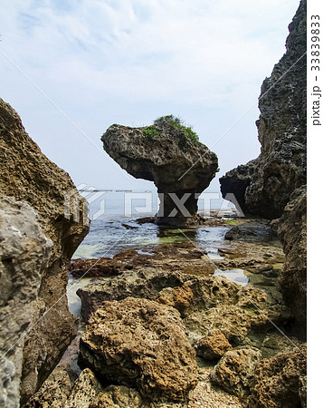 サンゴ 珊瑚 珊瑚礁 33839833