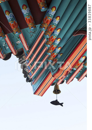 種 竹林情事 忠清北道 33839887