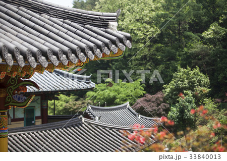 古建築 口径社 忠清北道 33840013