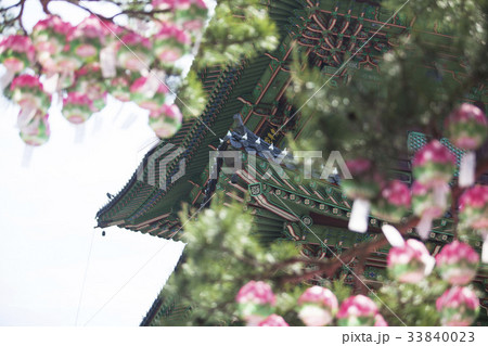 ボタプサ 提灯 鎮川郡 33840023