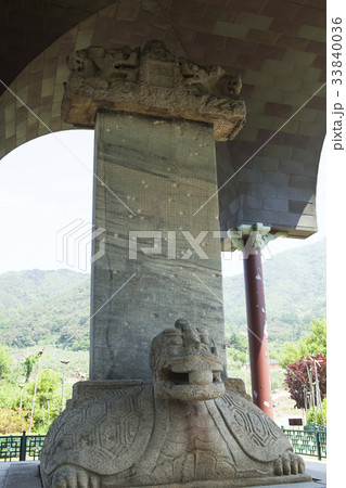 宝物 忠州市 韓国 33840036