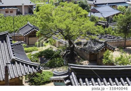 慶北 村 安東市 33840046