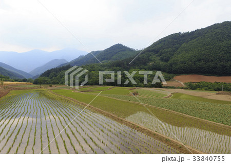 江原道 田畑 某 33840755