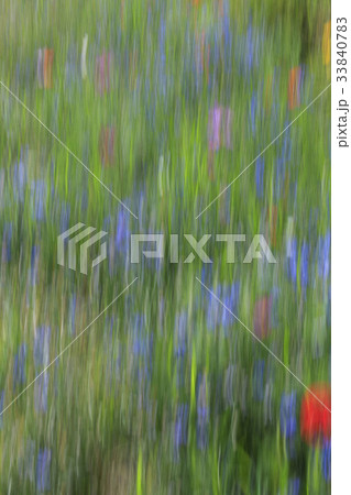花 花畑 自然 33840783