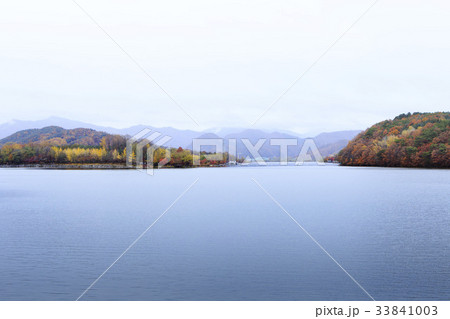 江原道 南怡島 紅葉 33841003