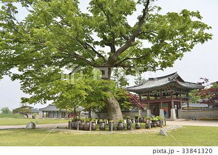 客舎 瑞山市 西山ヘミウプ性 33841320