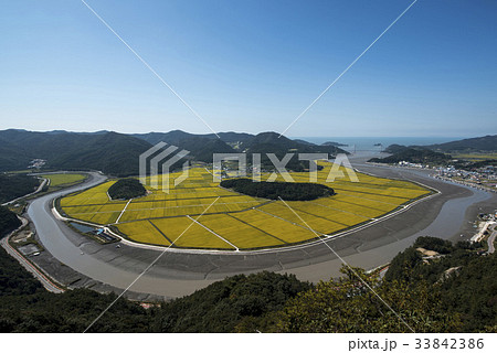 田畑 ボプソンポ 霊光郡 33842386