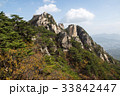 紅葉 道峰山 岩 33842447