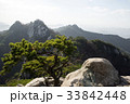 道峰山 ソウル 松 33842448