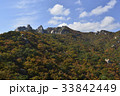 紅葉 道峰山 岩 33842449